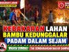 Dipicu Pembakaran Sampah Liar, Lahan Bambu Pinggir Sungai di Kedunggalar Terbakar
