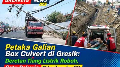 Proyek Drainase Terlalu Dekat, 10 Tiang Listrik di Pantura Manyar Ambruk Beruntun Timpa 4 Kendaraan