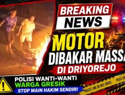 Ketagihan Garong Toko Kelontong di Gresik, Residivis Ini Babak Belur dan Motornya Ludes Dibakar Massa