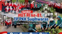 Sambut HUT RI ke