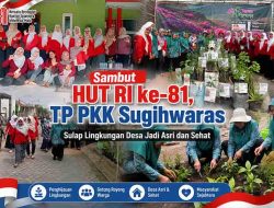 Sambut HUT RI ke-81, TP PKK Sugihwaras Sulap Lingkungan Desa Jadi Asri dan Sehat