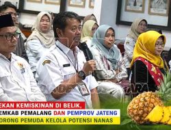 Tekan Kemiskinan di Belik, Pemkab Pemalang dan Pemprov Jateng Dorong Pemuda Kelola Potensi Nanas