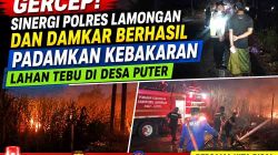Gara-Gara Sampah Dibakar, Lahan Tebu Petani di Kembangbahu Lamongan Nyaris Ludes