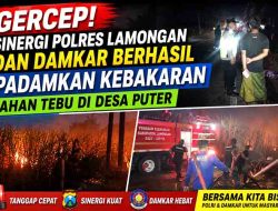 Gara-Gara Sampah Dibakar, Lahan Tebu Petani di Kembangbahu Lamongan Nyaris Ludes