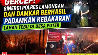 Sinergi Damkar Padamkan Kebakaran Lahan Tebu