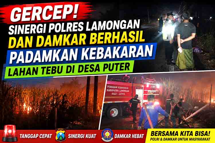 Sinergi Damkar Padamkan Kebakaran Lahan Tebu
