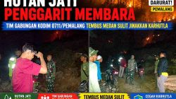 Hutan Jati Penggarit Membara, Tim Gabungan Kodim 0711/Pemalang Tembus Medan Sulit Jinakkan Karhutla