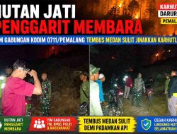 Hutan Jati Penggarit Membara, Tim Gabungan Kodim 0711/Pemalang Tembus Medan Sulit Jinakkan Karhutla