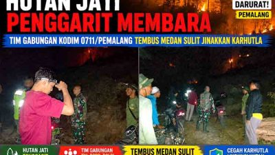 Hutan Jati Penggarit Membara, Tim Gabungan Kodim 0711/Pemalang Tembus Medan Sulit Jinakkan Karhutla