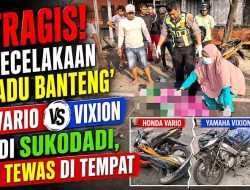 Gagal Menyalip di Sukodadi Lamongan, Pengendara Vario Maut Usai Dihantam Vixion