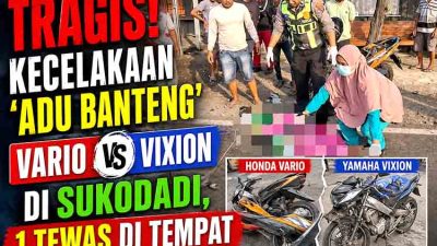 Gagal Menyalip di Sukodadi Lamongan, Pengendara Vario Maut Usai Dihantam Vixion