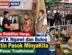 Tekan Lonjakan Harga, DPPTK Ngawi dan Bulog Rutin Digelontorkan MinyaKita ke Pasar Tradisional