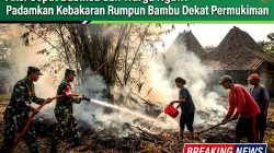 Aksi Cepat Babinsa dan Warga Ngawi Padamkan Kebakaran Rumpun Bambu Dekat Permukiman