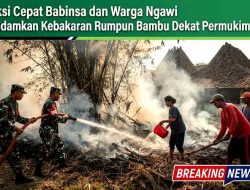 Aksi Cepat Babinsa dan Warga Ngawi Padamkan Kebakaran Rumpun Bambu Dekat Permukiman