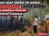 Aksi Sigap Sinergi TNI-Warga: Kebakaran Lahan Bambu di Mandiraja Pemalang Berhasil Dijinakkan