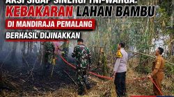 Aksi Sigap Sinergi TNI Warga Kebakaran Lahan Bambu di Mandiraja Pemalang Berhasil Dijinakkan