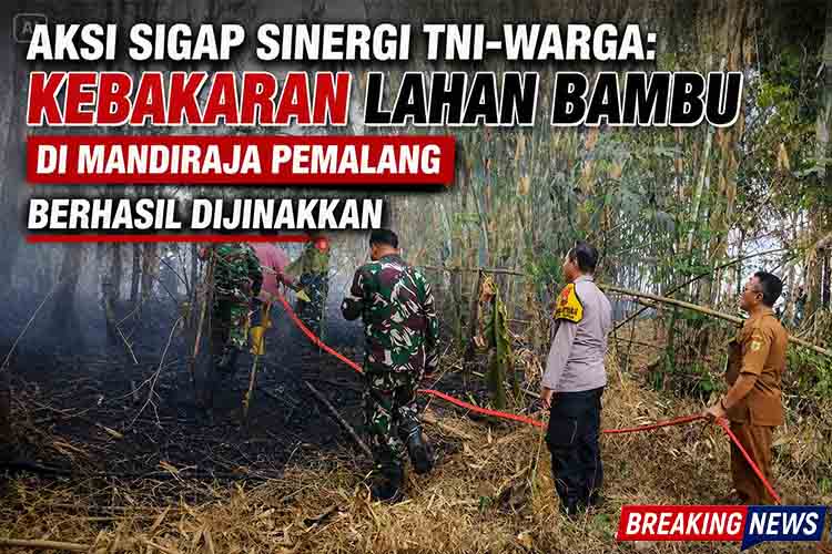 Aksi Sigap Sinergi TNI Warga Kebakaran Lahan Bambu di Mandiraja Pemalang Berhasil Dijinakkan