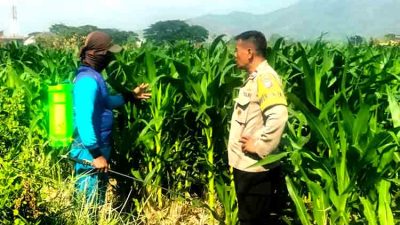 Bhabinkamtibmas Ngampel Edukasi Petani