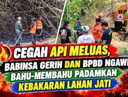 Cegah Api Meluas, Babinsa Gerih dan BPBD Ngawi Bahu-Membahu Padamkan Kebakaran Lahan Jati