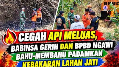 Cegah Api Meluas, Babinsa Gerih dan BPBD Ngawi Bahu Membahu Padamkan Kebakaran Lahan Jati
