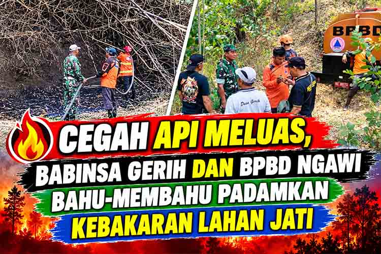 Cegah Api Meluas, Babinsa Gerih dan BPBD Ngawi Bahu Membahu Padamkan Kebakaran Lahan Jati