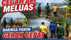 Cegah Api Meluas, Babinsa Paron Gerak Cepat Padamkan Kebakaran Lahan Tebu PG Redjo Agung