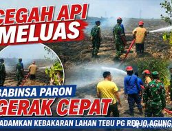 Cegah Api Meluas, Babinsa Paron Gerak Cepat Padamkan Kebakaran Lahan Tebu PG Redjo Agung