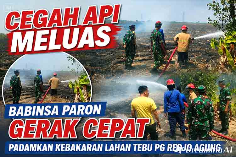 Cegah Api Meluas, Babinsa Paron Gerak Cepat Padamkan Kebakaran Lahan Tebu PG Redjo Agung