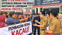 Data DTSEN Amburadul, Distribusi Ribuan Ton Beras Bantuan di Lamongan Menuai Protes