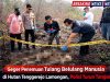 Geger Penemuan Tulang Belulang Manusia di Hutan Tenggerejo Lamongan, Polisi Turun Tangan