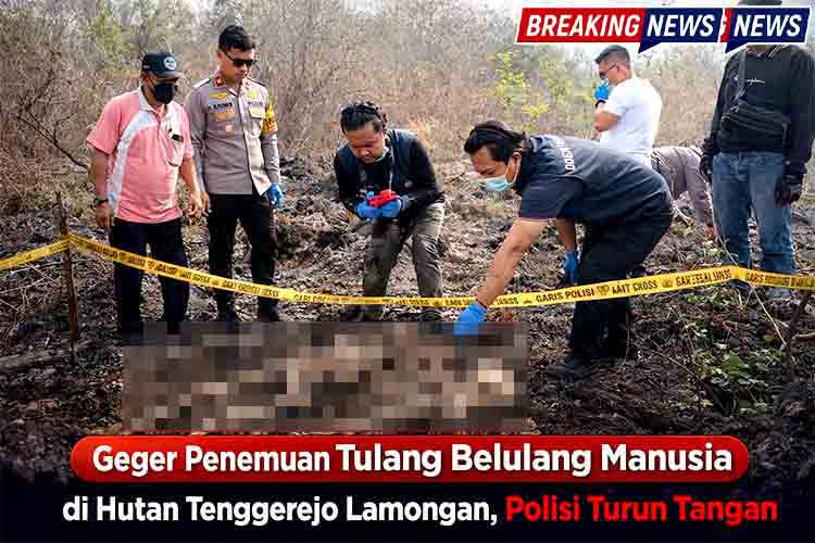 Geger Penemuan Tulang Belulang Manusia di Hutan Tenggerejo Lamongan, Polisi Turun Tangan