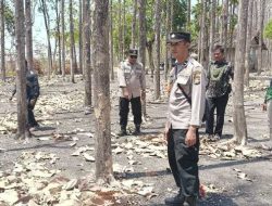 Sinergi Cegah Karhutla, Polres Bojonegoro Sisir Kawasan Rawan di Kedungadem