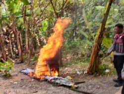 Respon Laporan Warga, Polresta Sidoarjo Bongkar Arena Sabung Ayam di Dua Lokasi