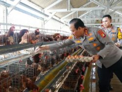 Polda Metro Jaya Jadi Contoh Penguatan Rantai Pasok MBG, Polri Dorong Jajaran Kembangkan Potensi Pangan Lokal