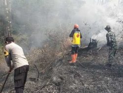 Karhutla Gunung Botak Sine Ngawi Belum Padam Sepenuhnya, Polisi Perkuat Pemantauan dan Upaya Pemadaman