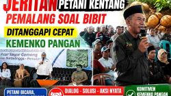 Jeritan Petani Kentang Pemalang Soal Bibit Ditanggapi Cepat Kemenko Pangan