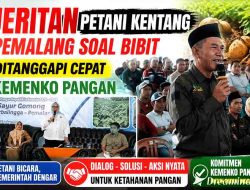 Jeritan Petani Kentang Pemalang Soal Bibit Ditanggapi Cepat Kemenko Pangan