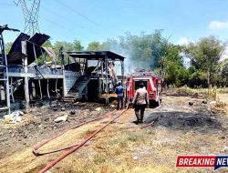 Kandang Ayam Ludes Terbakar di Lamongan, 12 Ribu Anak Ayam Mati dan Kerugian Tembus Rp600 Juta