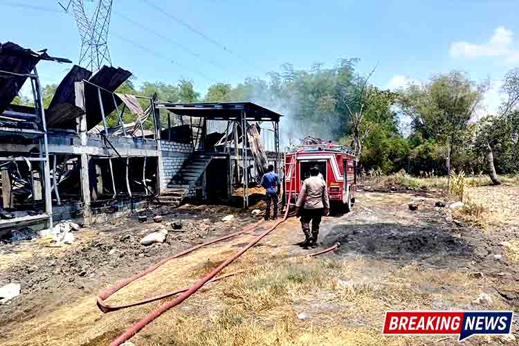 Kandang Ayam Ludes Terbakar di Lamongan, 12 Ribu Anak Ayam Mati dan Kerugian Tembus Rp600 Juta