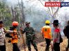 Karhutla Gunung Botak Ngawi Belum Padam Total, Tim Gabungan Perketat Patroli dan Pendinginan