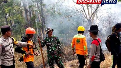 Karhutla Gunung Botak Ngawi Belum Padam Total, Tim Gabungan Perketat Patroli dan Pendinginan