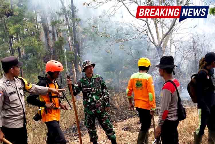 Karhutla Gunung Botak Ngawi Belum Padam Total, Tim Gabungan Perketat Patroli dan Pendinginan