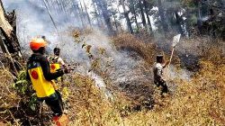 Karhutla Gunung Botak Sine Ngawi Belum Padam Sepenuhnya, Polisi Perkuat Pemantauan dan Upaya Pemadaman