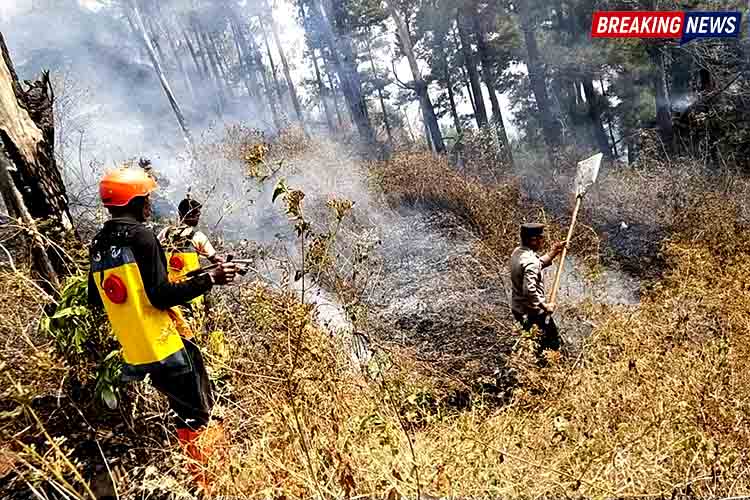 Karhutla Gunung Botak Sine Ngawi Belum Padam Sepenuhnya, Polisi Perkuat Pemantauan dan Upaya Pemadaman