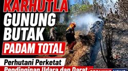 Karhutla Gunung Butak Padam Total, Perhutani Perketat Pendinginan Udara dan Darat