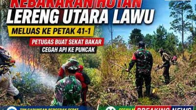 Kebakaran Hutan Lereng Utara Lawu Meluas ke Petak 41-1, Petugas Buat Sekat Bakar Cegah Api ke Puncak