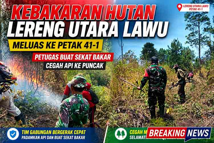 Kebakaran Hutan Lereng Utara Lawu Meluas ke Petak 41 1, Petugas Buat Sekat Bakar Cegah Api ke Puncak