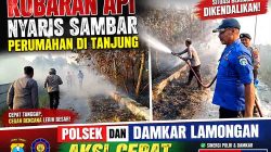 Kobaran Api Nyaris Sambar Perumahan di Tanjung, Polsek dan Damkar Lamongan Aksi Cepat