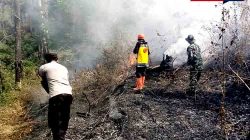 Kebakaran Lahan Pinus di RPH Salam Ngawi, Petugas dan Warga Berjibaku Cegah Api Meluas