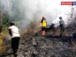 Kebakaran Lahan Pinus di RPH Salam Ngawi, Petugas dan Warga Berjibaku Cegah Api Meluas